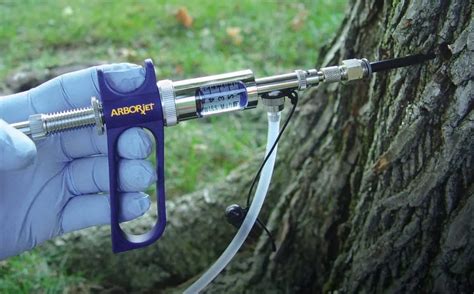 Image result for Tree Injection Insecticide