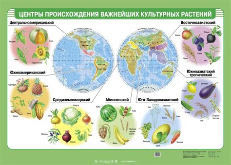 Сорта культурных растений - 69 фото