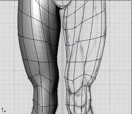 Image result for Blender Tutorial Human Body