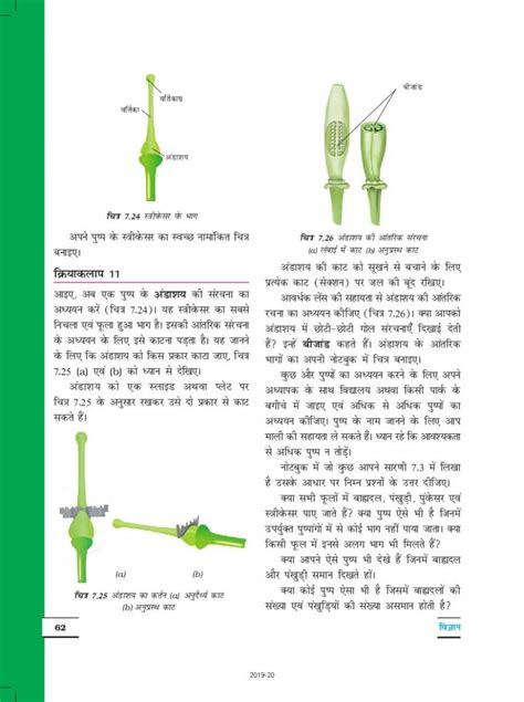 Class 6 Science Chapter 7 Book 的图像结果