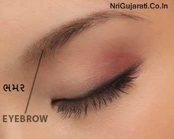 Human Body Parts Name with Picture in Gujarati to English - Male Female ...