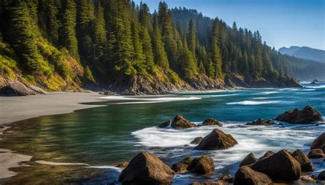 California 的图像结果