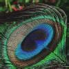 Write an HTML code for the E - shopping - Brainly.in