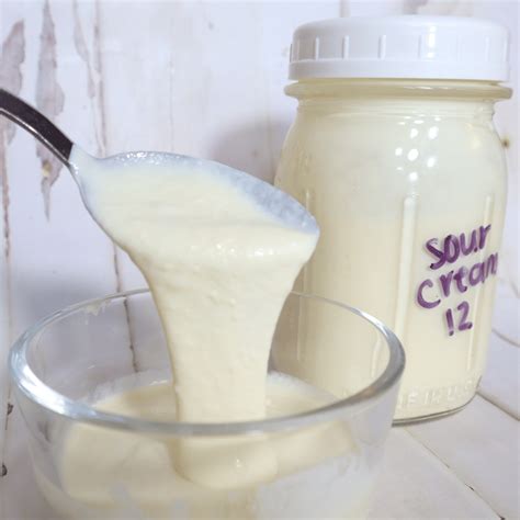 How To Make Sour Cream From Milk And Vinegar at Richard Harvey blog