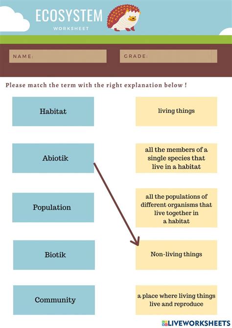 Free Science Lessons Ecosystem 的图像结果