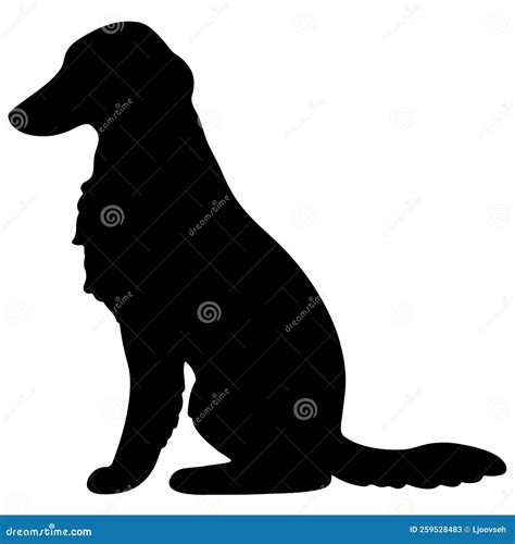 Image result for 2nd Grade Science Fair Projects