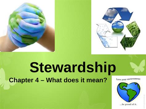 Image result for How to Implement Stewardship