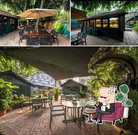Darwin Bucky Cafe, Ahmedabad - Restaurant menu, prices and reviews