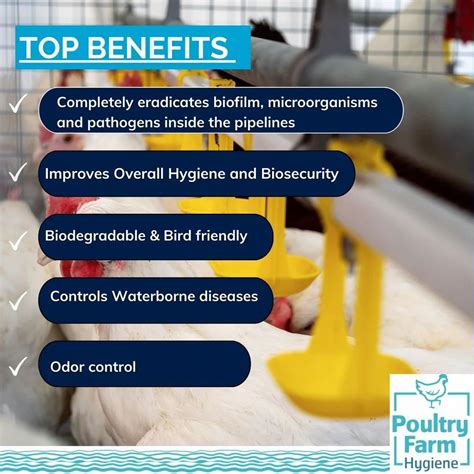 POULTRY DISINFECTANTS AND FEED SUPPLEMENTS - Poultry On bird spray ...
