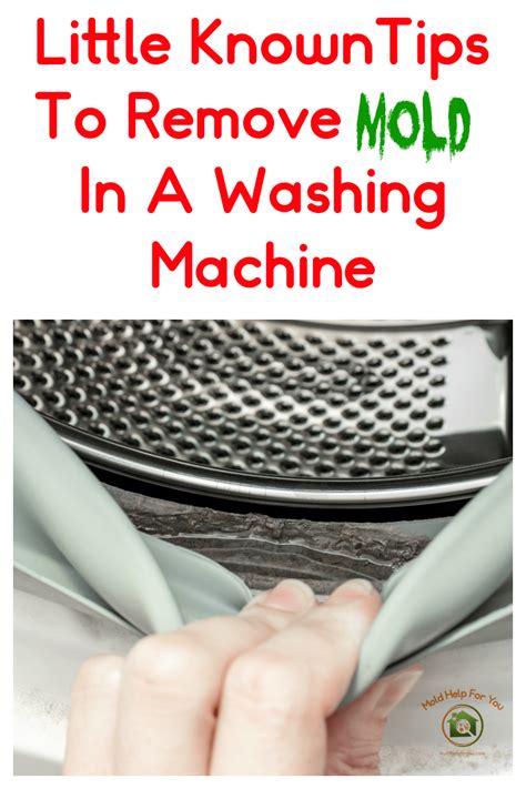 Image result for How Do You Remove Mold and Mildew From Front Loading Washing Machine