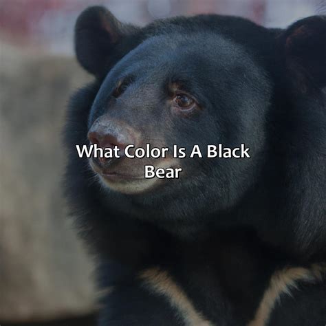 What Is Hue In Color - colorscombo.com