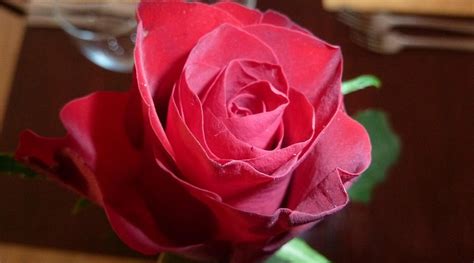 THE PEAK RESTAURANT, Llanberis - Menu, Prices & Restaurant Reviews ...