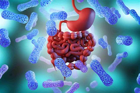 Incredibly diverse bacteria inhabit the guts of hunter-gatherers in Tanzania