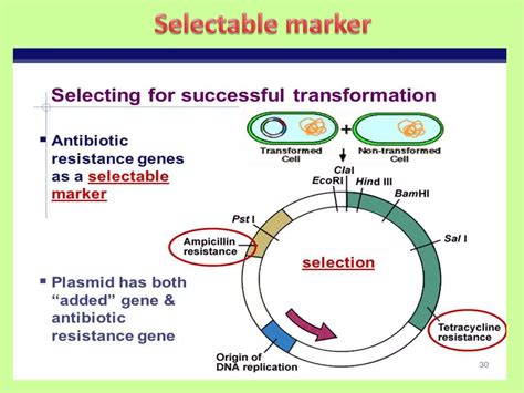 Biotech Processes 的图像结果