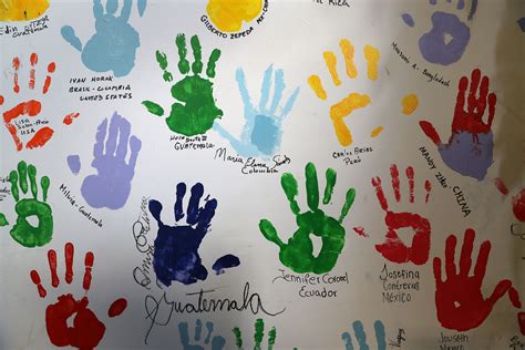 Image result for Types of Assimilation