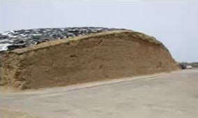 Silage Sampling Core 的图像结果