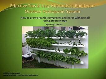 Effective tips and easy methods to build your outdoor hydroponic system ...