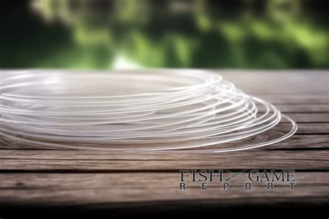 Fishing Line Types 的图像结果