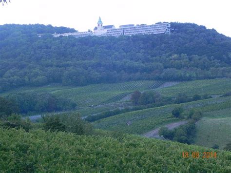 HOTEL GRINZINGER HOF (Vienna) - Hotel Reviews & Photos - Tripadvisor