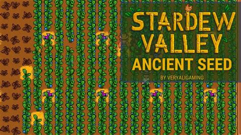 How To Farm Ancient Fruit Stardew Valley at Morris Mcdonald blog