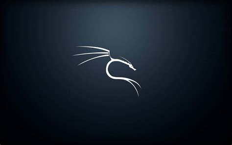 Image result for Kali Linux Material Background