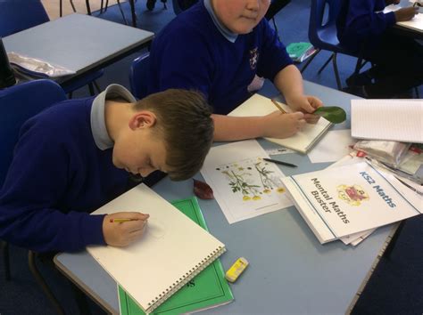 Classification Science P6 的图像结果