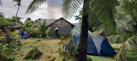 TREE HOUSE BUNGALOW (Lenakel) - Guesthouse Reviews & Photos - Tripadvisor