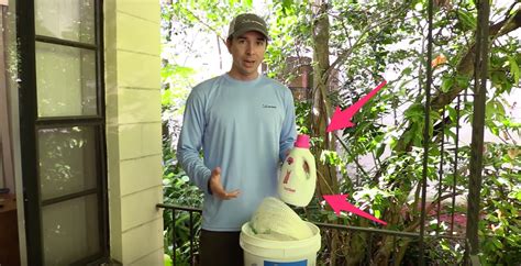 Cast Net Fishing Tips 的图像结果