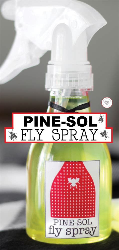 Spray To Keep Away Flies at Tyler Aikenhead blog