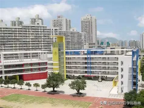 深圳市南山外国语学校深汕西中心学校（九年一贯制）-SEED | 席得设计
