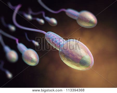 Image result for Copulation Outline