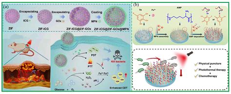 Recent Advances of Metal–Polyphenol Coordination Polymers for ...