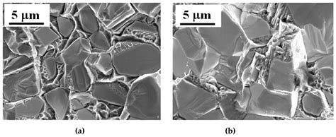 In-Depth Understanding of Fatigue Micromechanisms in Cemented Carbides ...