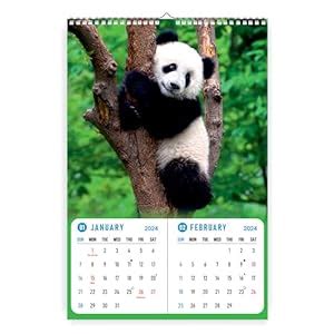 Leonius | 2024 Wall Calendar | Panda theme | 6 Sheet Wall Hanging ...