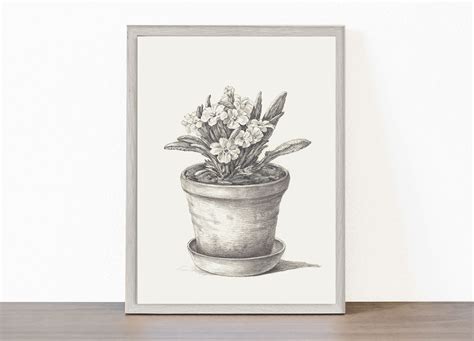 Pencil Drawing Of Flower Pot