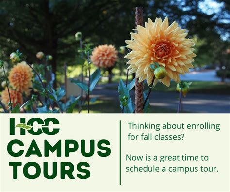 Haywood Community College - Have you thought about summer courses yet ...