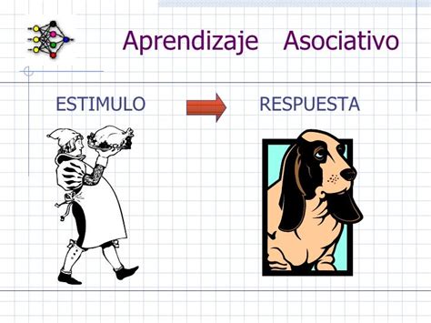 CONDICIONAMIENTO CLÁSICO - Mind42
