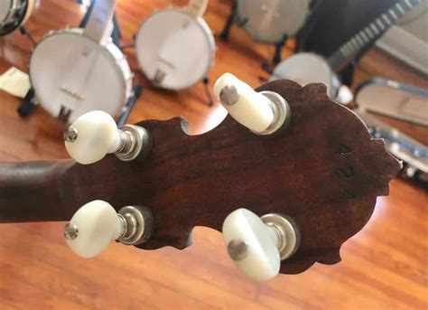 Image result for 4 String Banjo Tune
