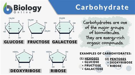Carbohydrates Nutrient Definition at Alfred Willeford blog