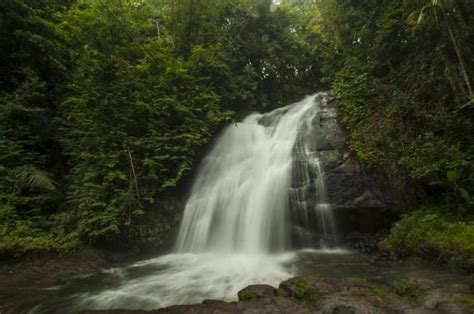 Kodagu First » Arts, Culture & Entertainment