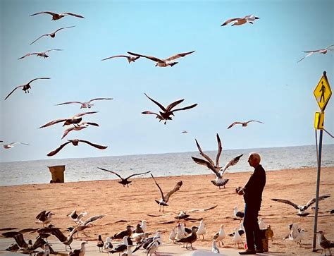 Abstract Class vs Interface Java 的图像结果