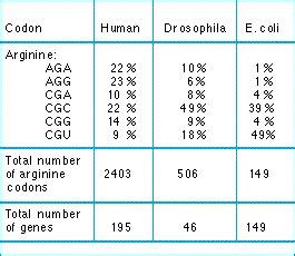 Image result for Codon Bias
