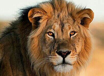 WESENDORFER DEELE (Wesendorf) - Inn Reviews & Photos - Tripadvisor