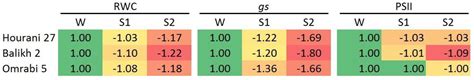 Dehydration Stress Memory Genes in Triticum turgidum L. ssp. durum (Desf.)