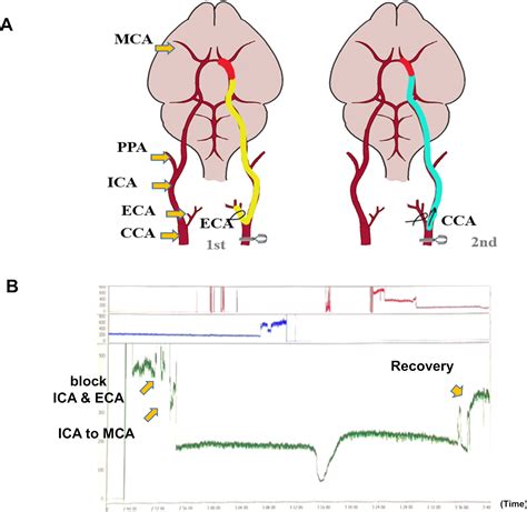 Image result for Alien Science Diagram