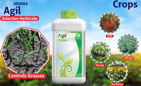 Boost Crop Productivity with Adama Agil herbicide: A Comprehensive Gui ...