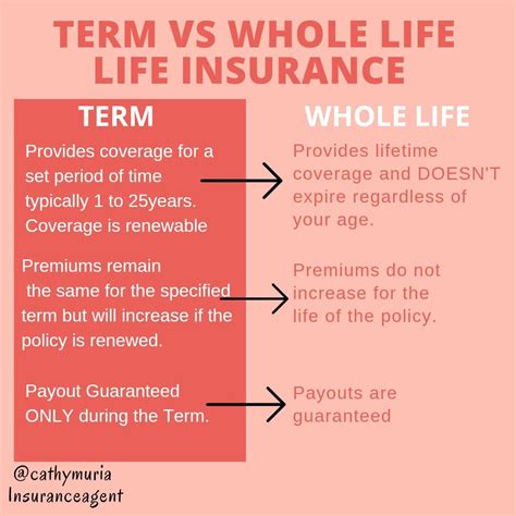 Image result for Term Life Insurance vs Life Insurance