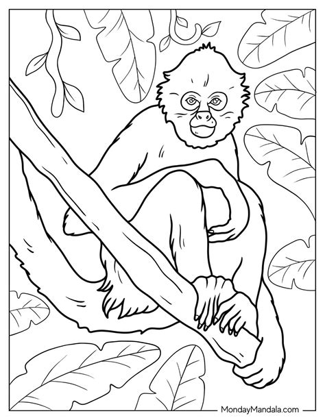 30 Monkey Coloring Pages (Free PDF Printables)