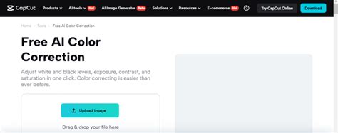 Image result for Printer Color Fixer