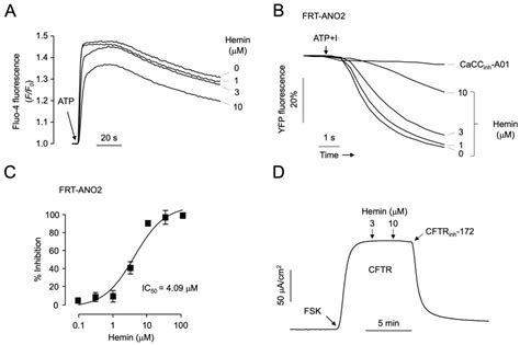Anticancer Effect of Hemin through ANO1 Inhibition in Human Prostate ...